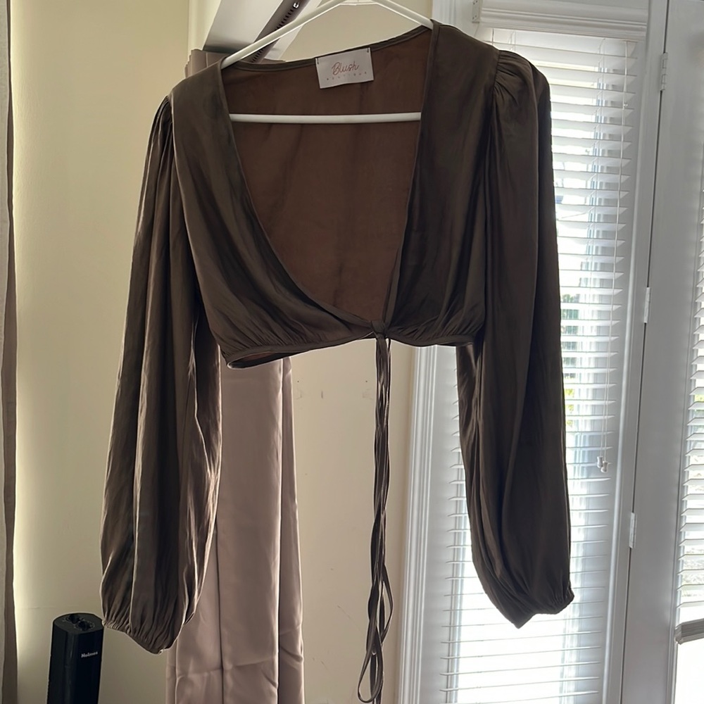 Blush boutique long sleeve crop top